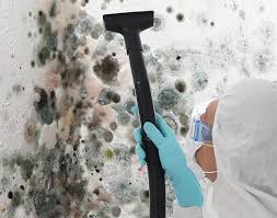 Trusted Escalon, CA Mold Removal Services Experts